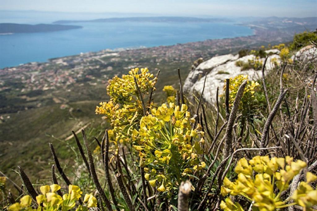 Apartmani Strada Kaštela 外观 照片